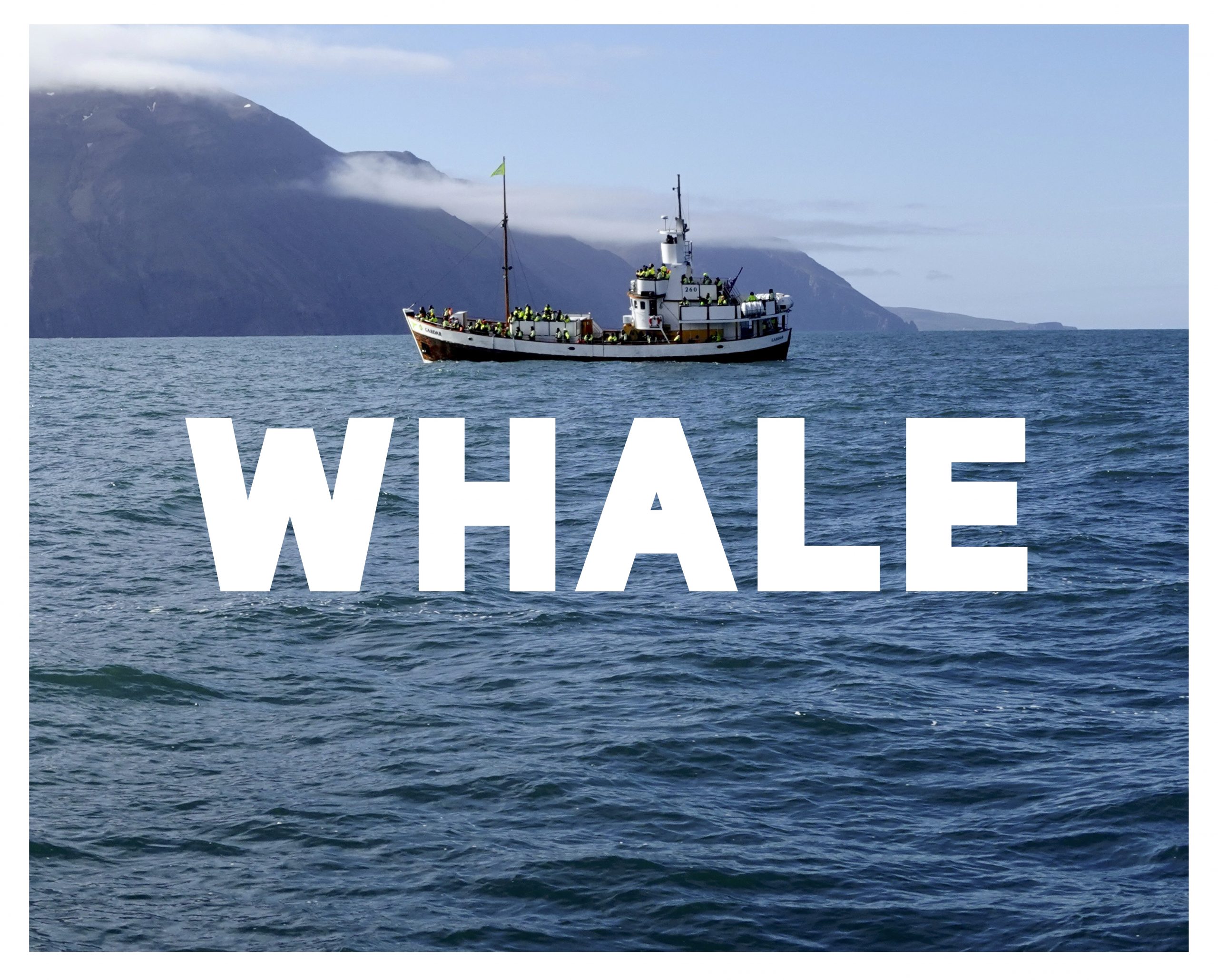 WHALE _ Simon Capelle, compagnie ZONE -poème- [Sortie d'atelier]